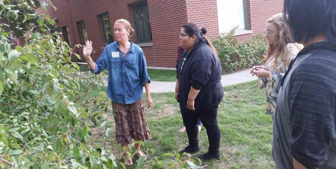 Learning to make plum juice from trees behind the AIRC during a Traditional Skills Workshop.